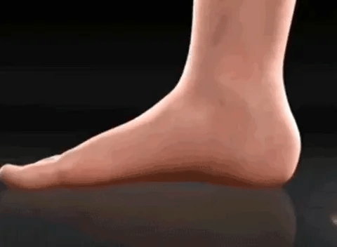 🙋♂️🤩ZAPATO MOCASIN PERSA🦶🎉🙋♂️