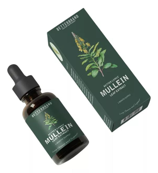 🤩🌿MULLEIN EL PODER NATURAL PARA TU BIENESTAR RESPIRATORIO💙🪴