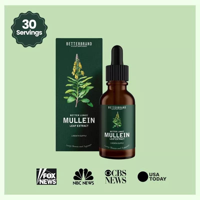 🤩🌿MULLEIN EL PODER NATURAL PARA TU BIENESTAR RESPIRATORIO💙🪴
