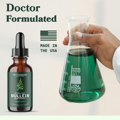 🤩🌿MULLEIN EL PODER NATURAL PARA TU BIENESTAR RESPIRATORIO💙🪴