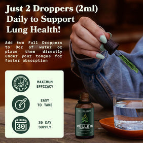 🤩🌿MULLEIN EL PODER NATURAL PARA TU BIENESTAR RESPIRATORIO💙🪴