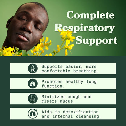 🤩🌿MULLEIN EL PODER NATURAL PARA TU BIENESTAR RESPIRATORIO💙🪴